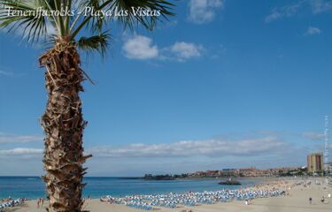 Playa las Vistas mit Palme