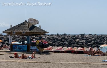 Playa Torviscas