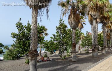 Parkanlage am Playa Jardin