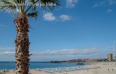 Playa las Vistas mit Palme