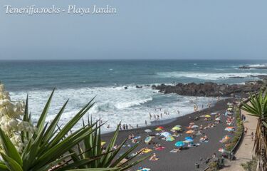 Playa Jardin - Punta Brava