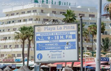 Vermietung von Liegen und Sonnenschirmen