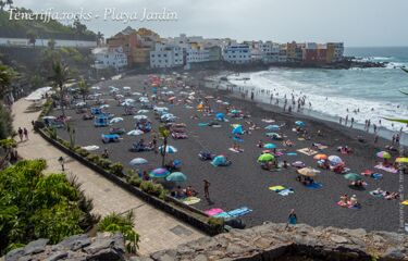 Playa Jardin - Punta Brava