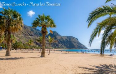 Palmen und Sand; was will man mehr