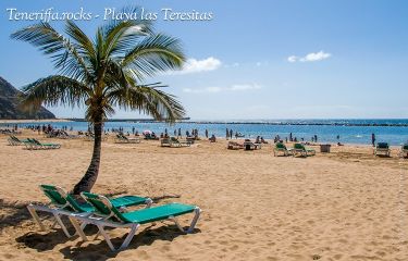 Strandliegen untern Palmen